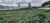 Terreno, 1 hectares - Foto 2