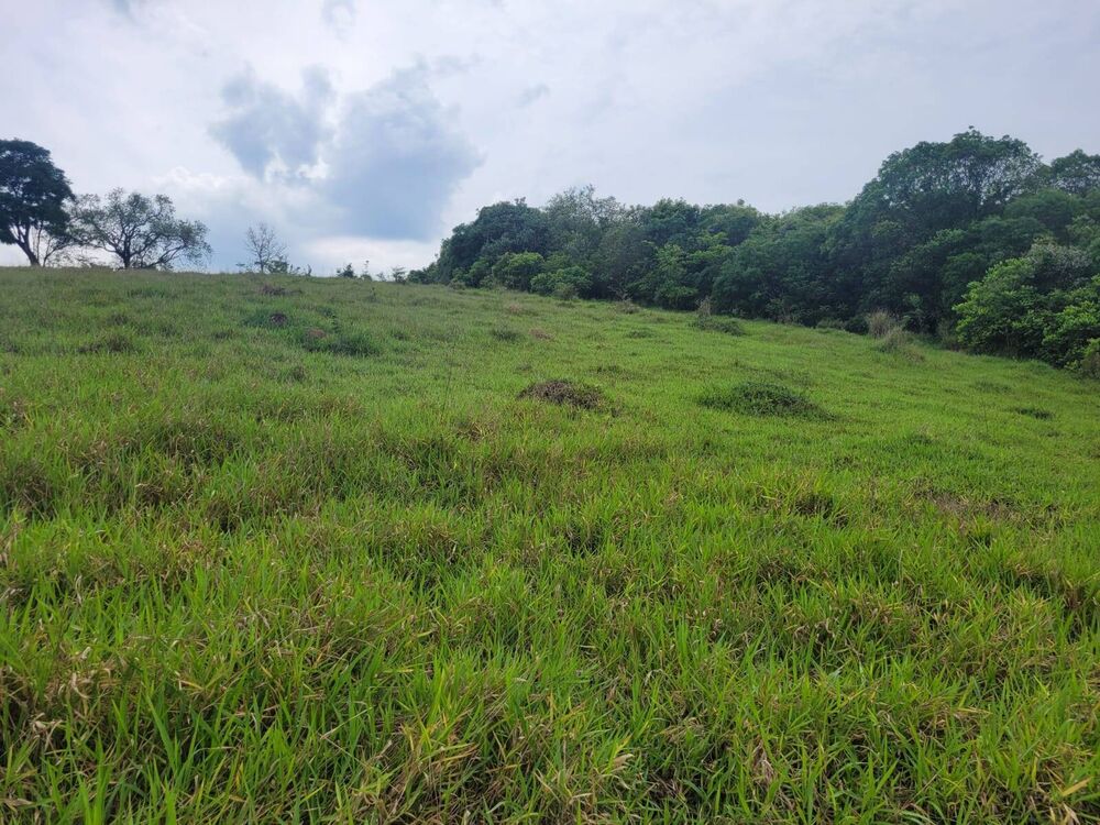 Terreno à venda, 20000m² - Foto 6