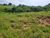 Terreno, 2 hectares - Foto 8