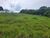 Terreno, 2 hectares - Foto 6