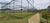 Terreno, 300 m² - Foto 6