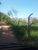 Terreno, 3 hectares - Foto 1