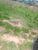 Terreno, 3 hectares - Foto 4