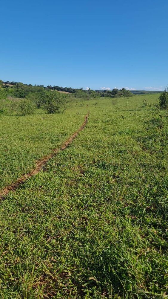 Terreno à venda, 64000m² - Foto 1