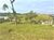 Terreno, 1000 m² - Foto 3
