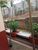 Apartamento, 2 quartos, 64 m² - Foto 4