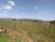 Prédio Inteiro, 36000 m² - Foto 1