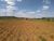 Prédio Inteiro, 36000 m² - Foto 3