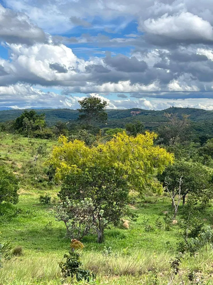 Terreno, 2 hectares - Foto 13