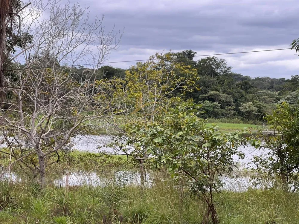 Terreno, 5000 m² - Foto 6