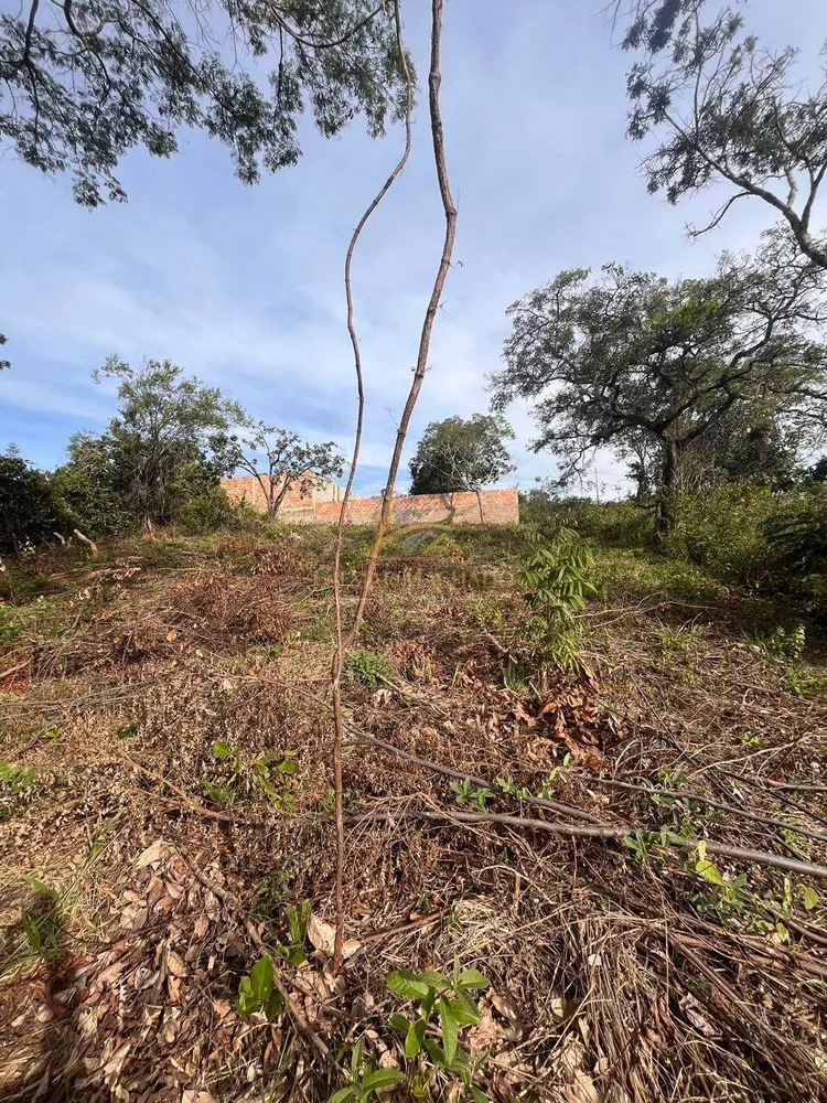 Terreno, 525 m² - Foto 3