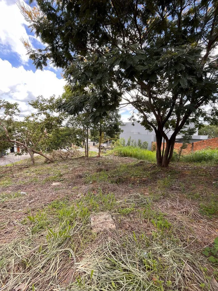 Terreno, 530 m² - Foto 4