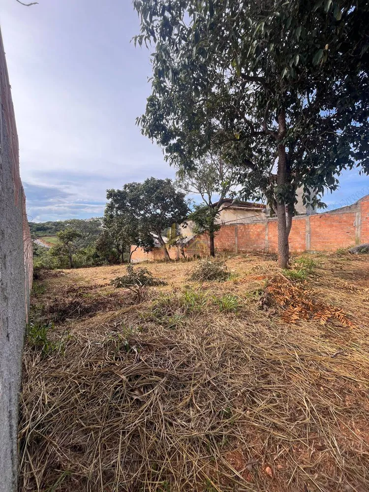 Terreno, 525 m² - Foto 3