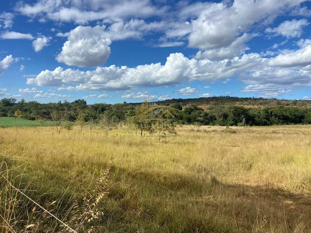 Terreno, 3 hectares - Foto 6