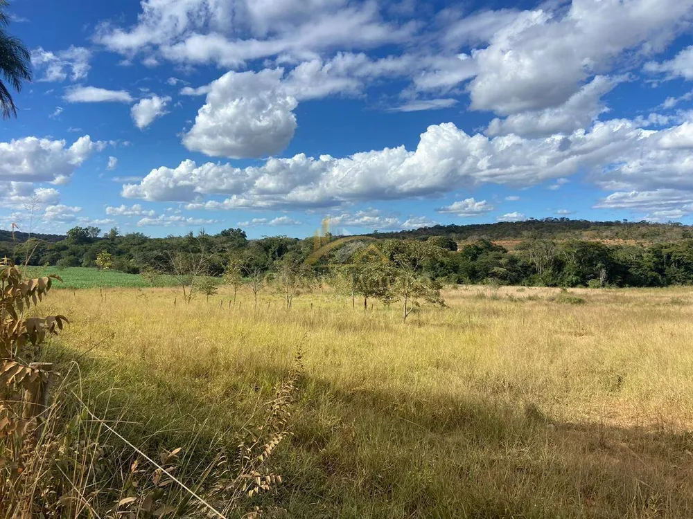 Terreno, 3 hectares - Foto 8