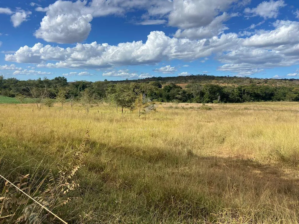 Terreno, 3 hectares - Foto 7