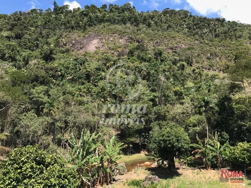 Terreno, 5 hectares - Foto 4