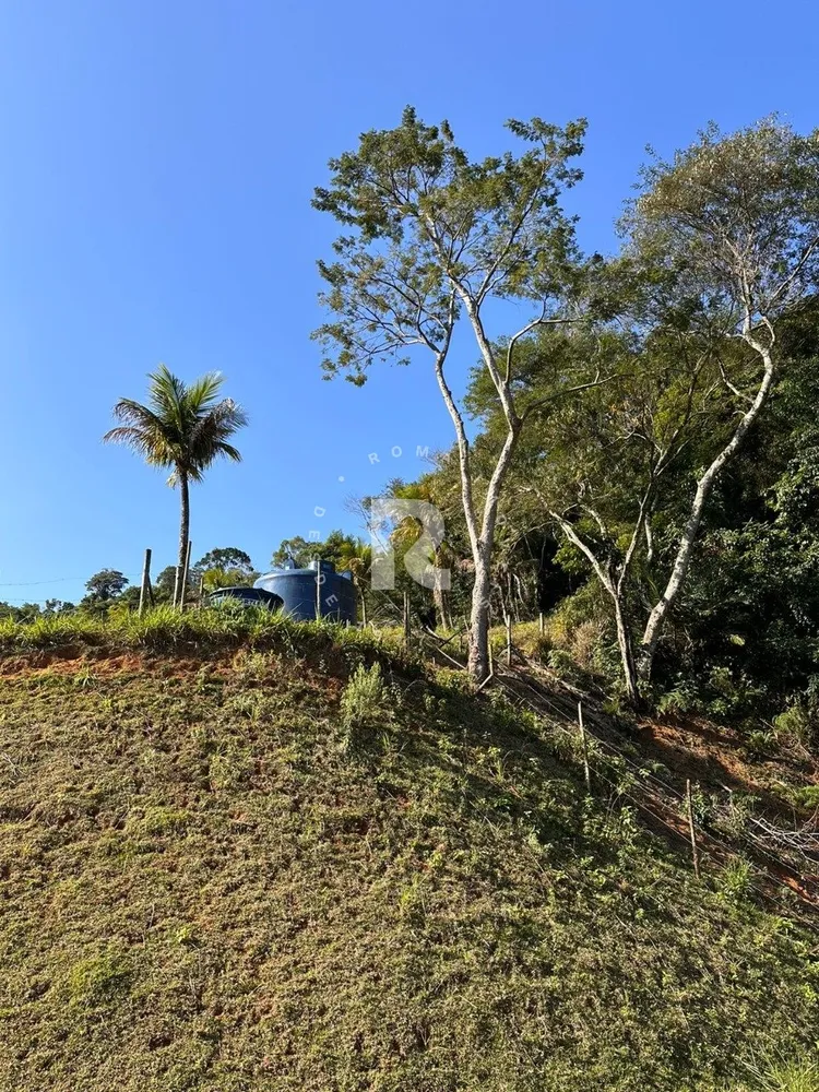 Terreno, 16 hectares - Foto 6