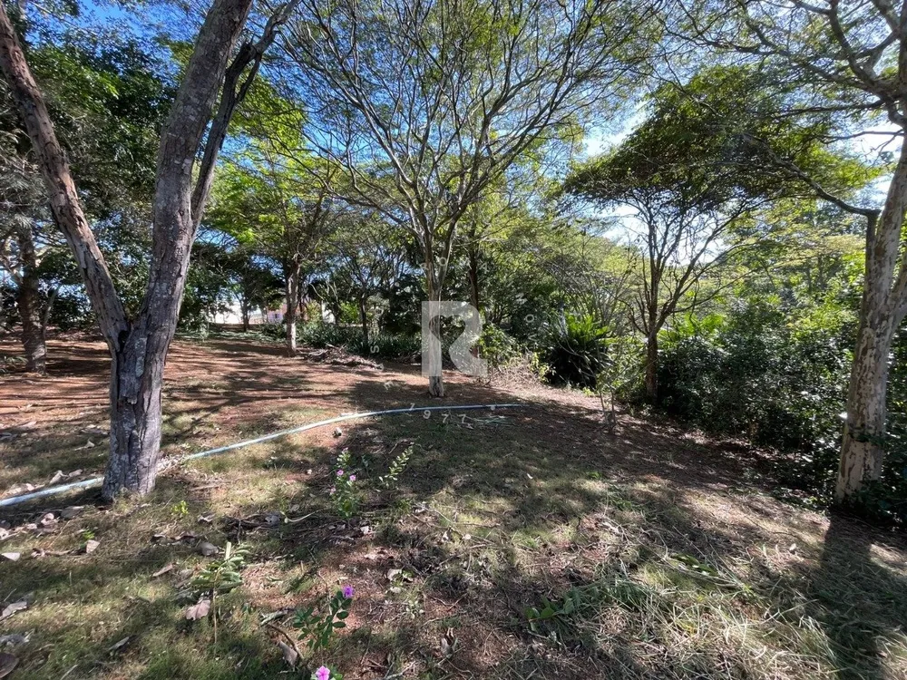 Sítio, 7 hectares - Foto 2