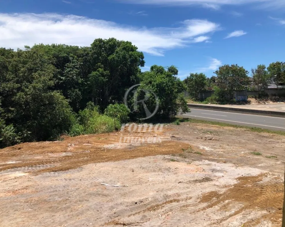 Terreno, 8000 m² - Foto 7