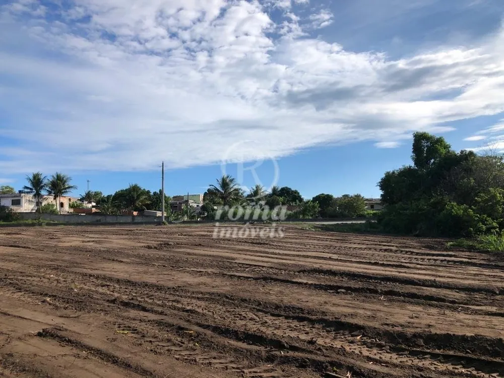 Terreno, 8000 m² - Foto 4