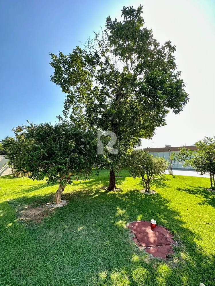 Chácara, 1 quarto, 2490 m² - Foto 3
