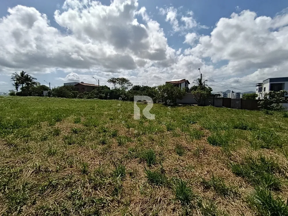 Terreno, 300 m² - Foto 4