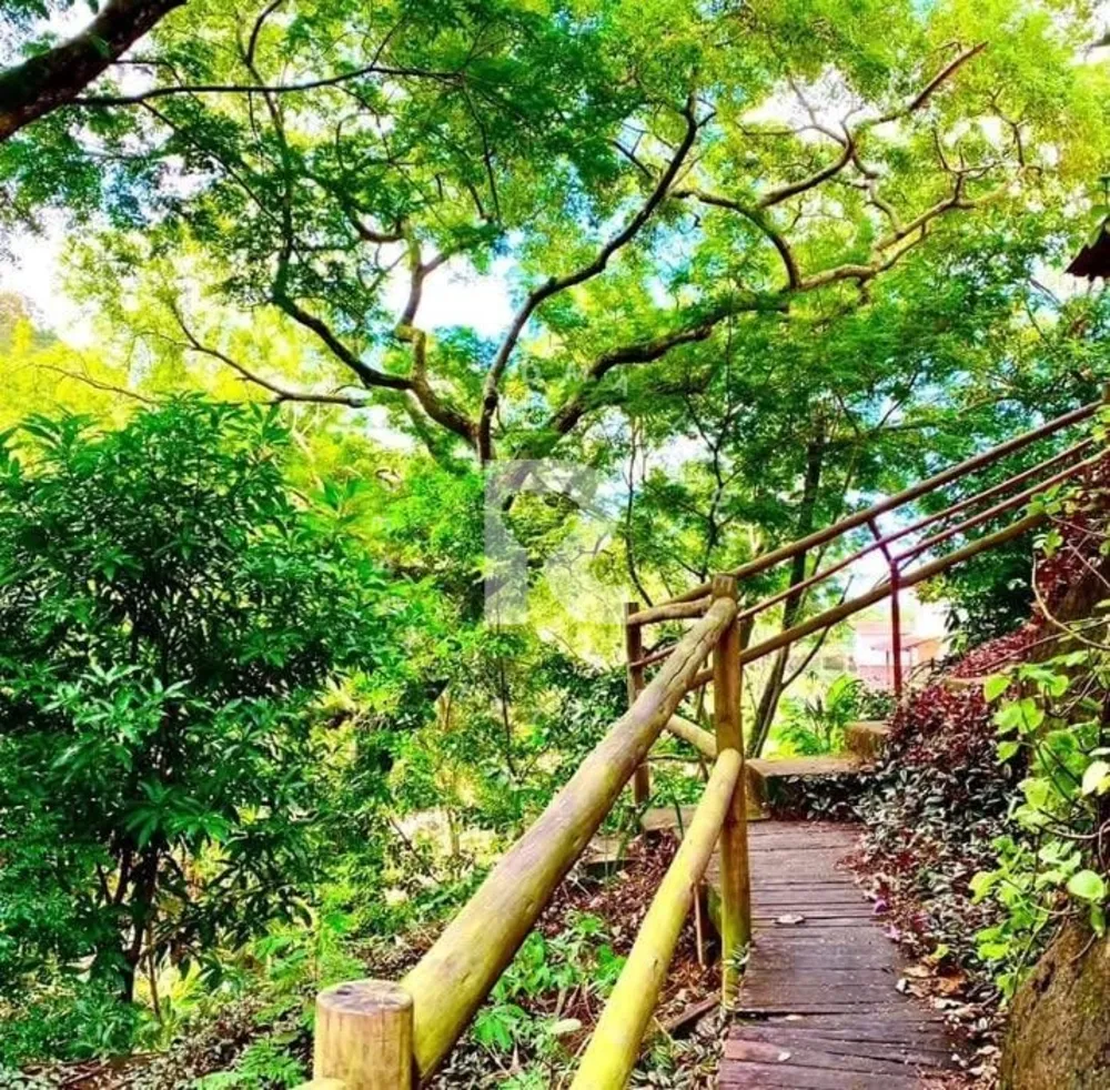Chácara, 9 quartos, 3 hectares - Foto 7