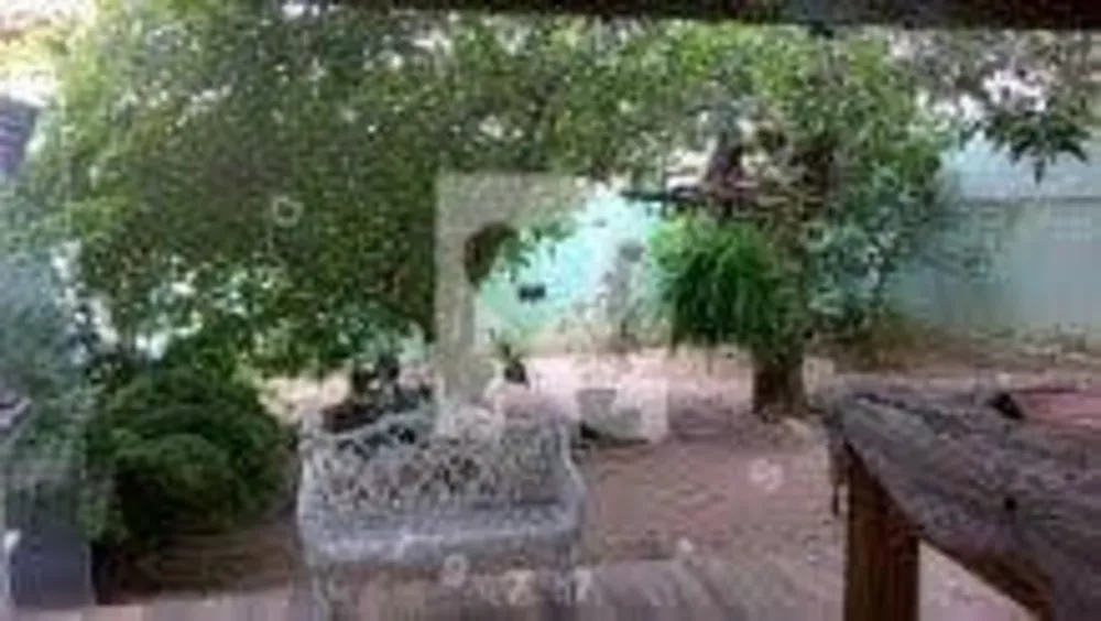 Casa, 8 quartos, 400 m² - Foto 3