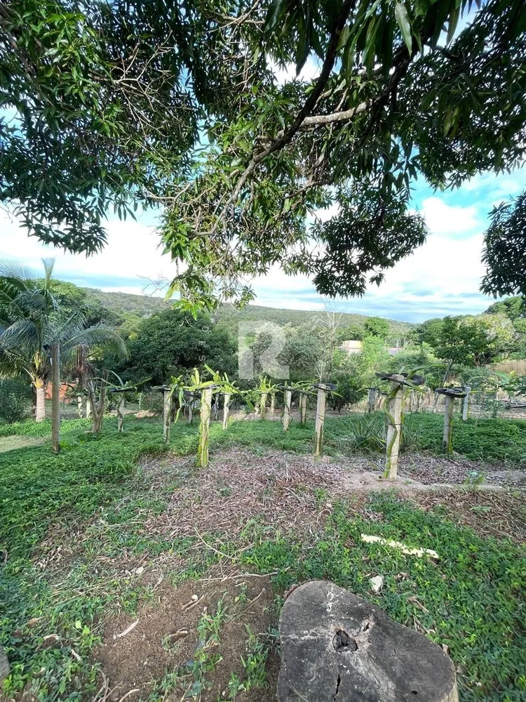 Sítio, 6 quartos, 7300 m² - Foto 12