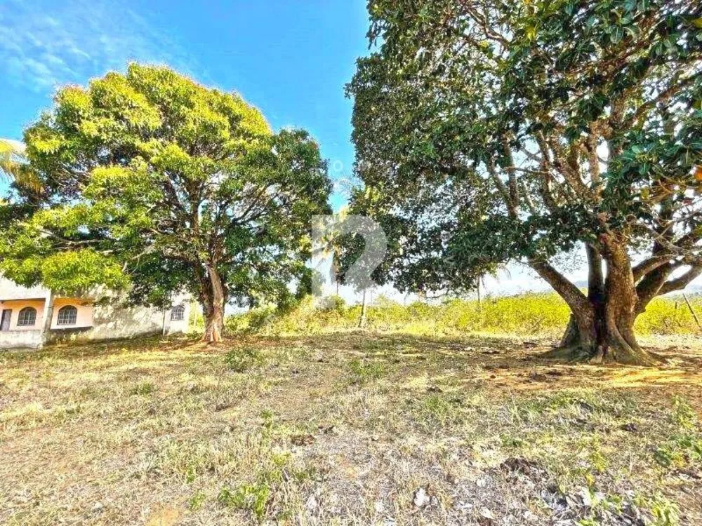 Terreno, 12 hectares - Foto 5