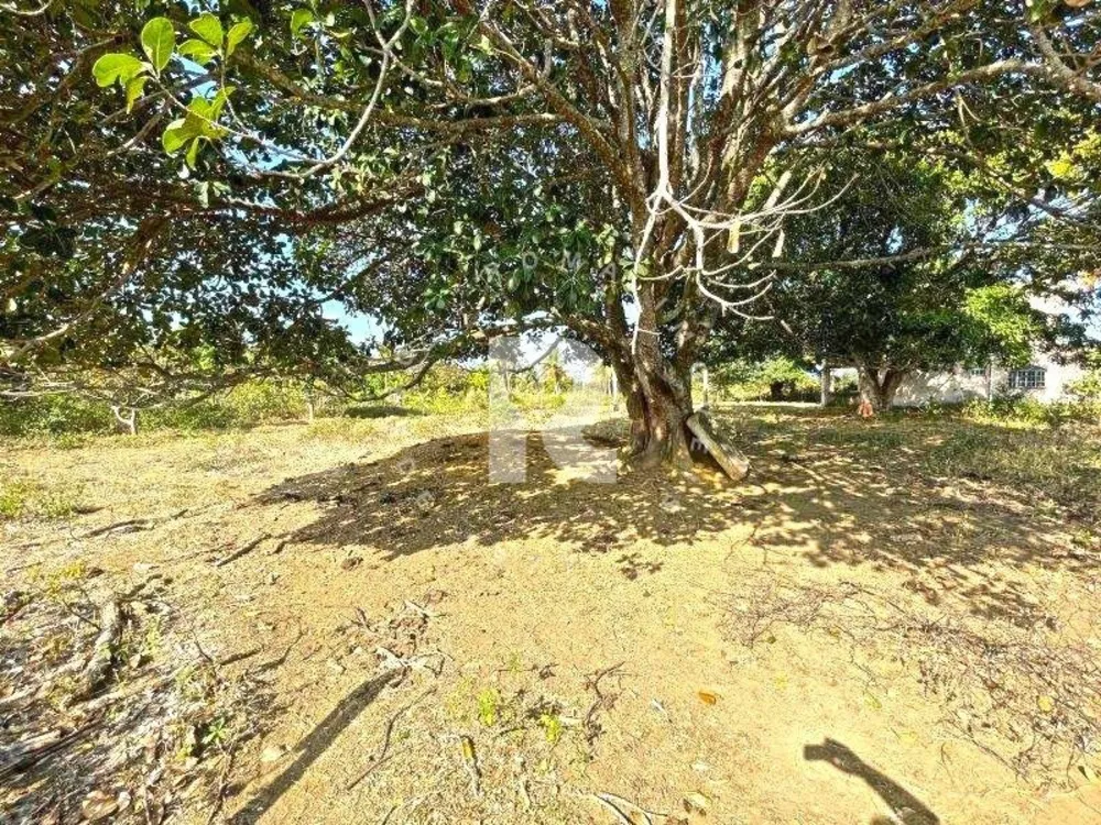 Terreno, 12 hectares - Foto 6