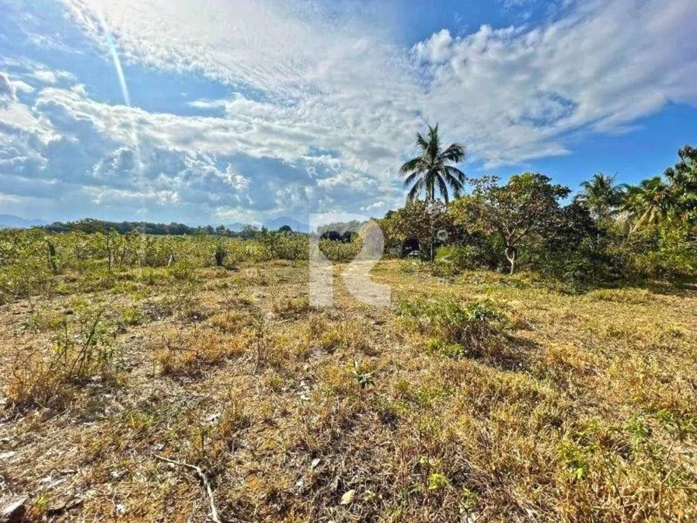 Terreno, 12 hectares - Foto 4