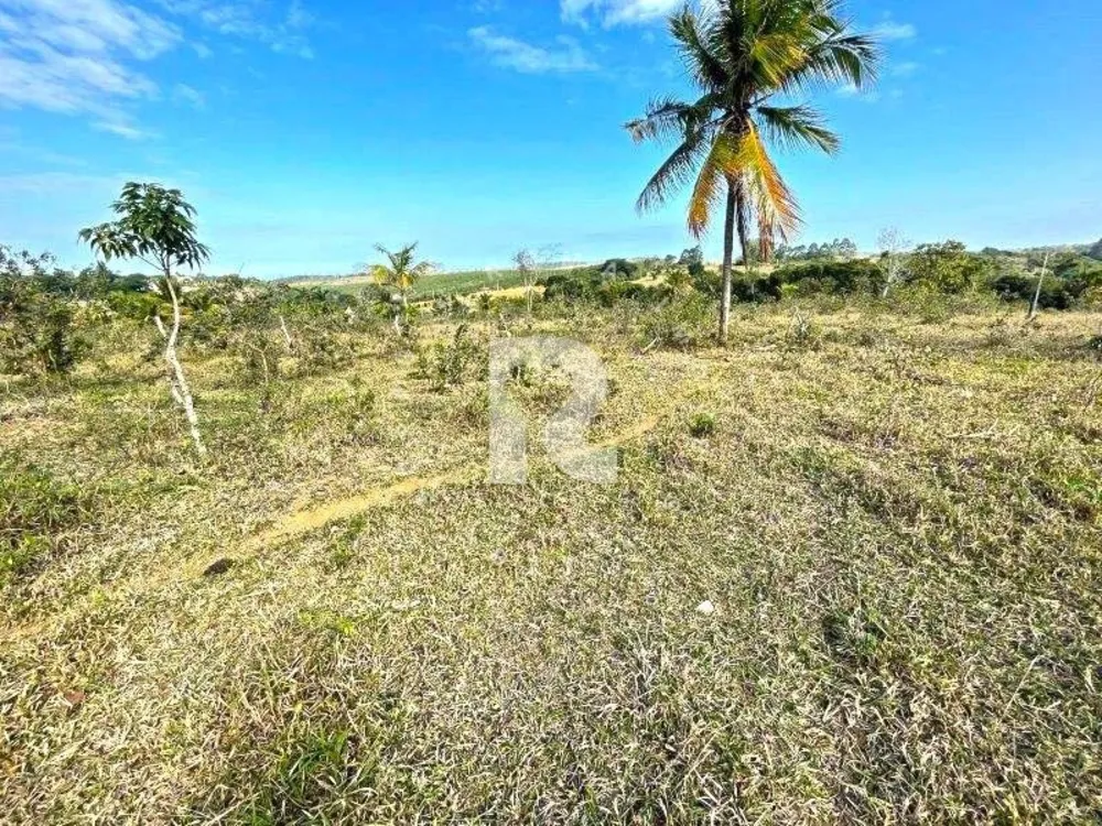 Terreno, 12 hectares - Foto 3