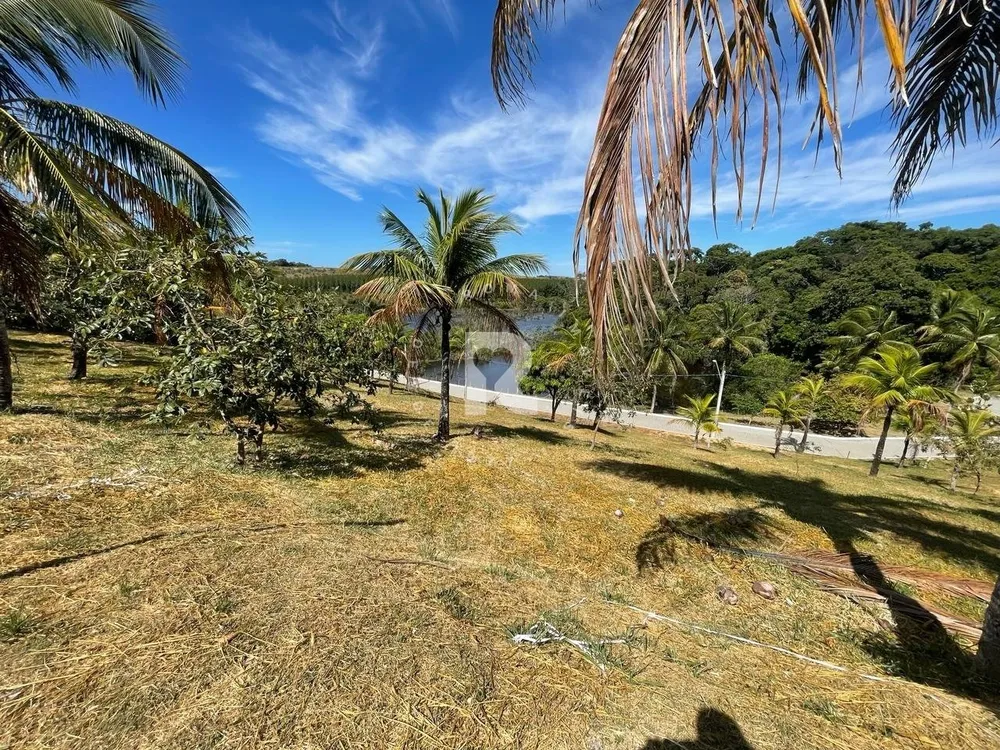 Terreno, 2378 m² - Foto 4