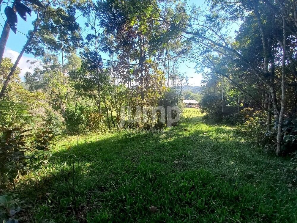 Terreno, 2 hectares - Foto 1