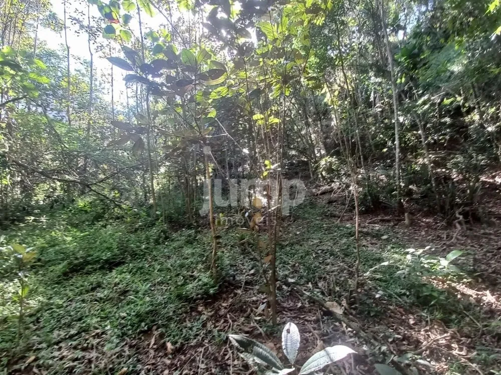 Terreno, 2 hectares - Foto 4