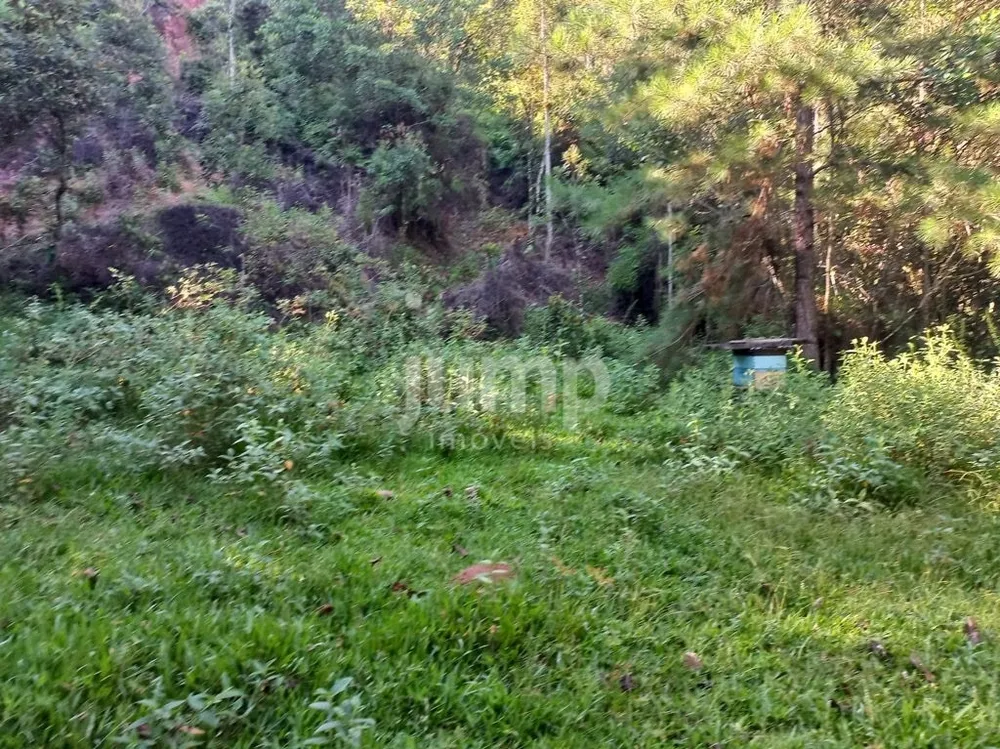 Terreno, 2 hectares - Foto 6