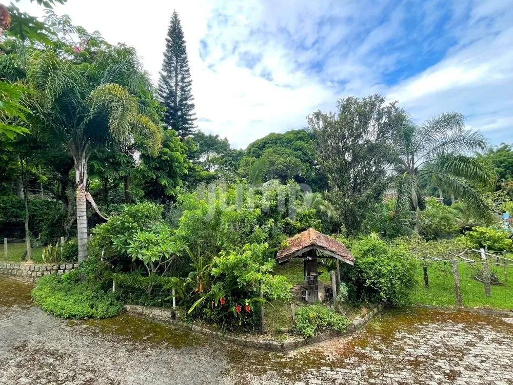 Casa, 4 quartos, 350 m² - Foto 12