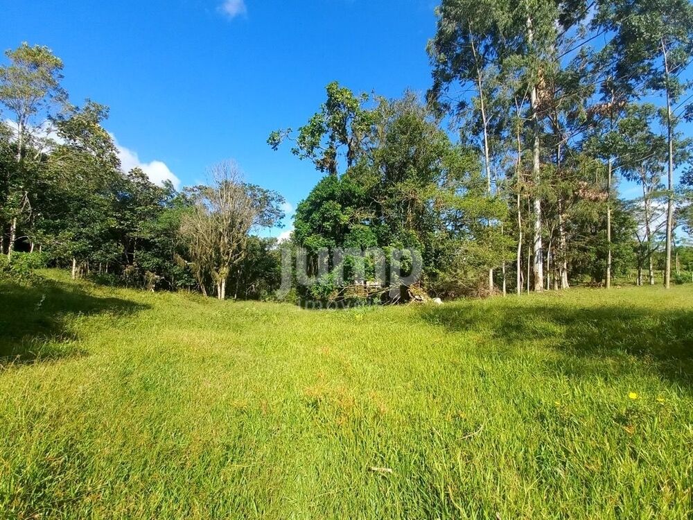 Terreno, 2500 m² - Foto 3