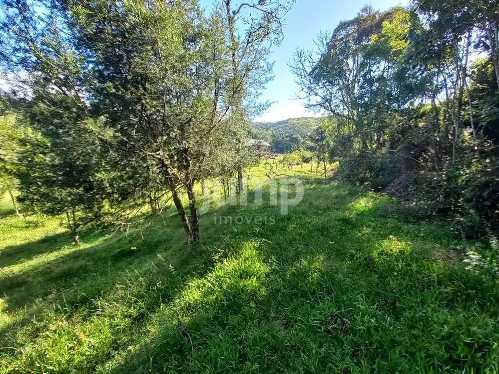 Terreno, 2500 m² - Foto 12