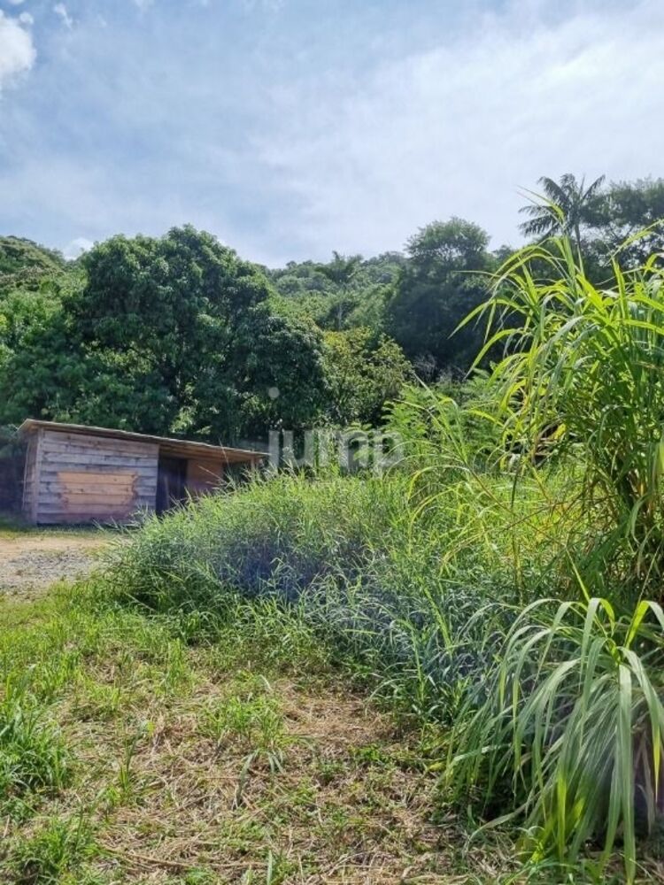 Terreno à venda, 1017m² - Foto 3