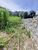 Terreno, 1017 m² - Foto 4