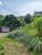 Terreno, 1017 m² - Foto 3