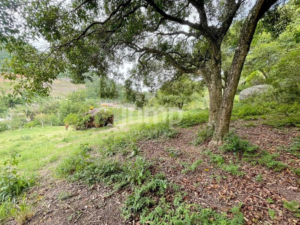 Terreno, 3600 m² - Foto 2