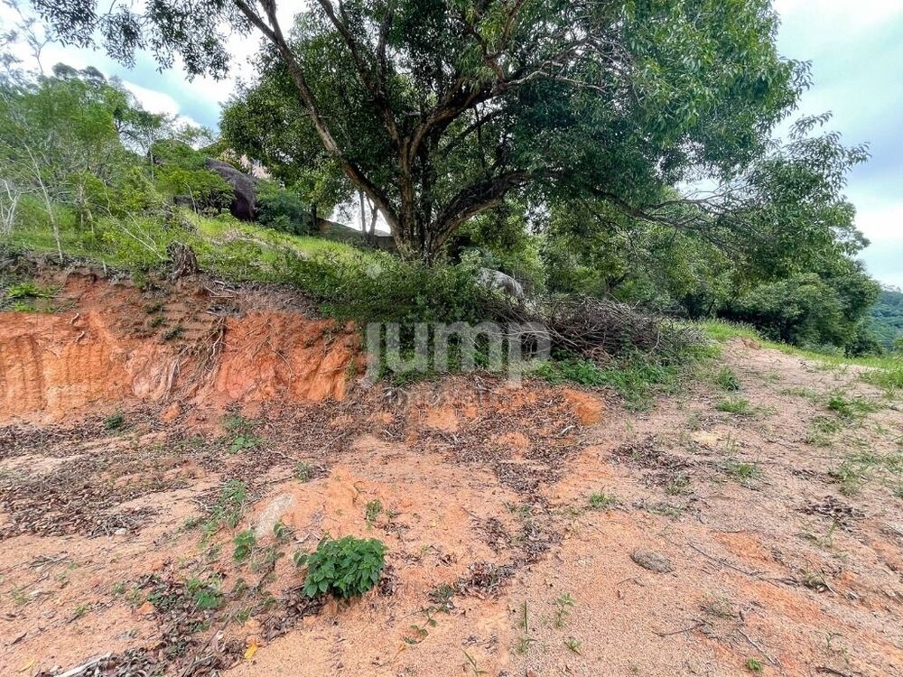 Terreno, 3600 m² - Foto 7