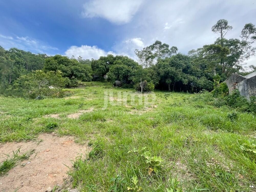 Terreno, 3600 m² - Foto 1