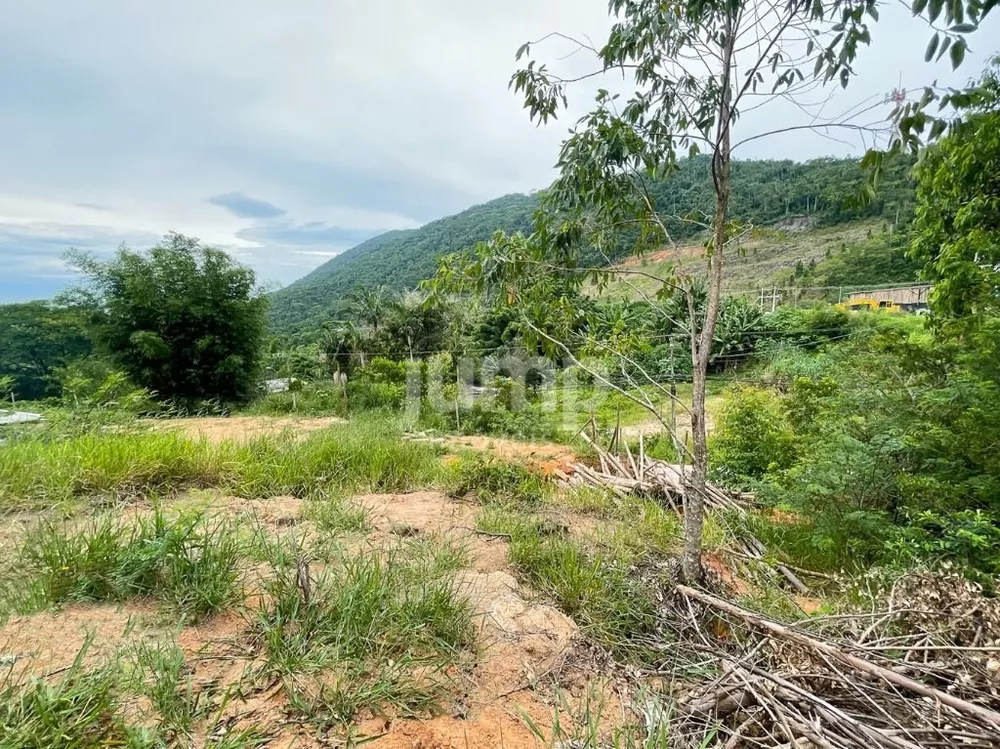 Terreno, 3600 m² - Foto 4