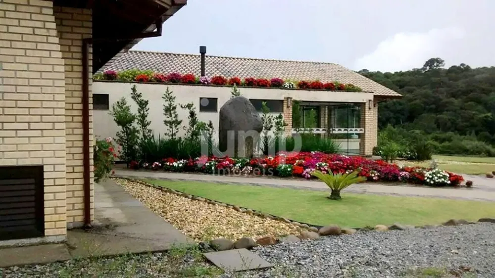 Terreno, 3001 m² - Foto 6