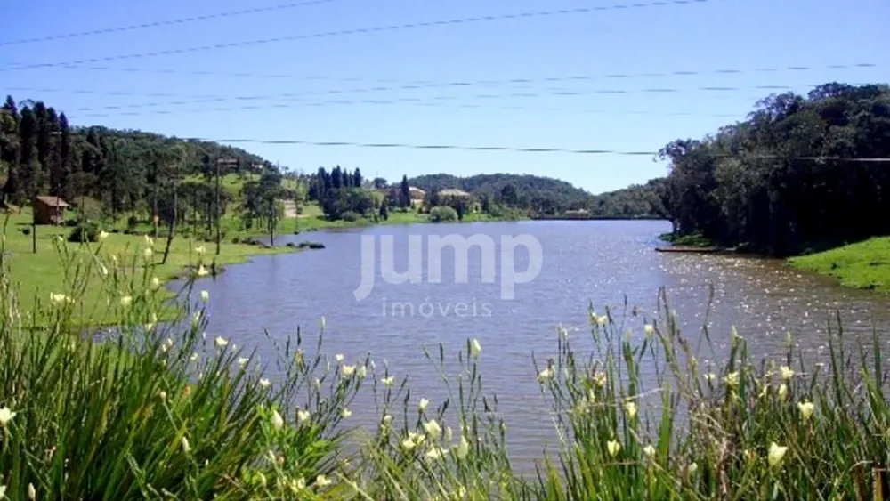Terreno, 3001 m² - Foto 7
